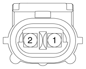 G11825989