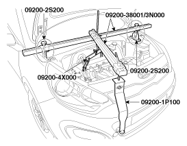 G11845385