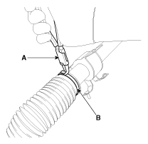 G11845835