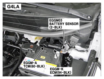 G11848887