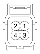 G11865560