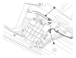 G11865656