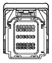 G11915469