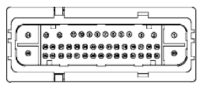 G11915481