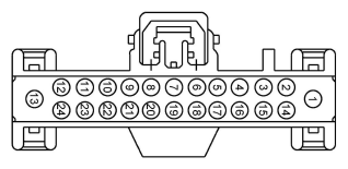 G11915512
