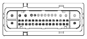 G11915523