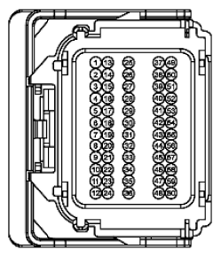 G11915537
