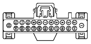 G11915825