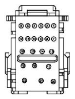 G11915956