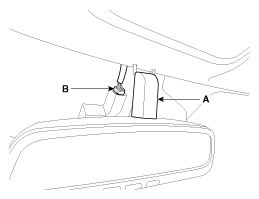 G11934456