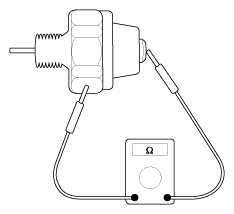G11954663