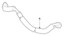 G11955705
