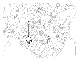 G11955993