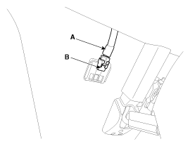 G12055194