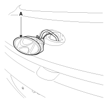 G12077029