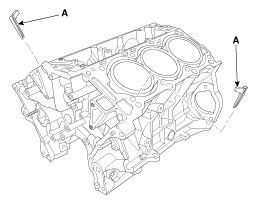 G12089119