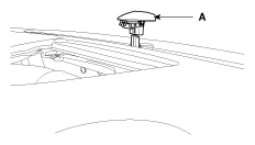 G12093411