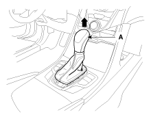 G12093481