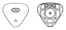 G12125520