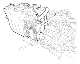 G12129205