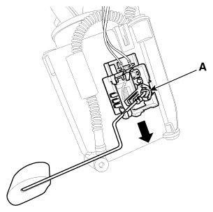 G12161496