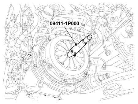 G12161524