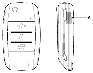 G12166524