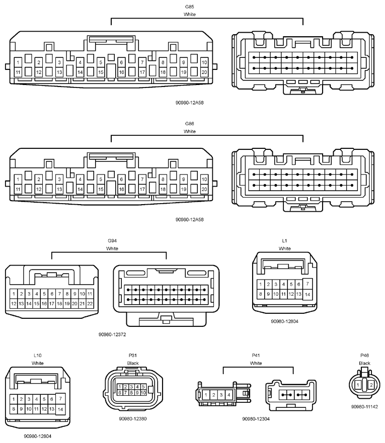 G12204079