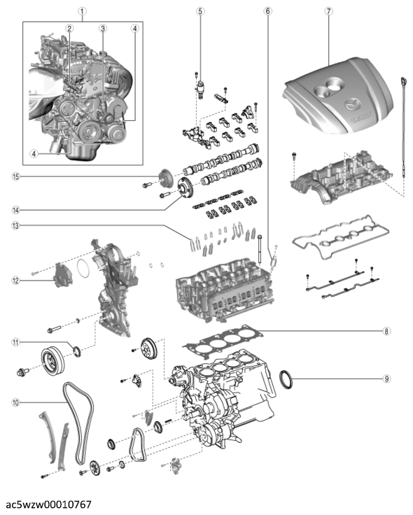 G12228329