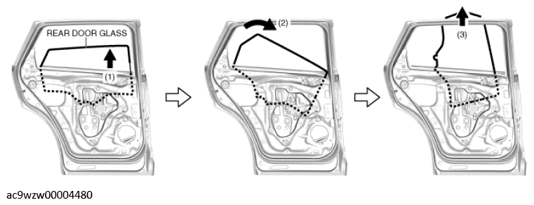 G12265568