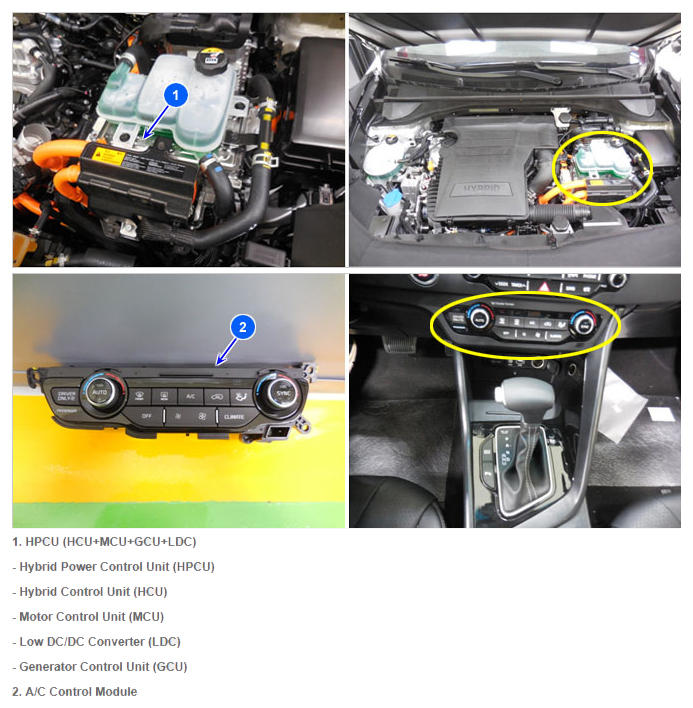 G12331167