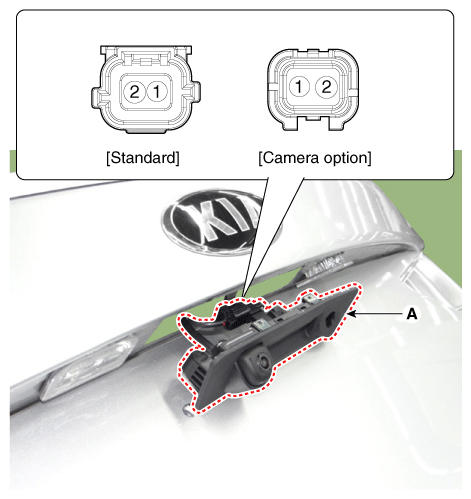 G12351691