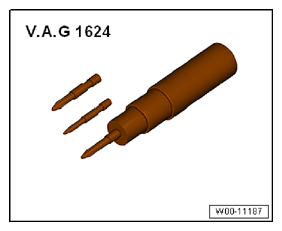G12353960