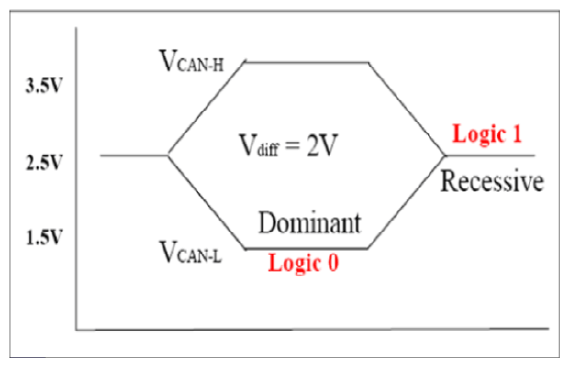 G12575613