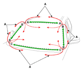 G12597356