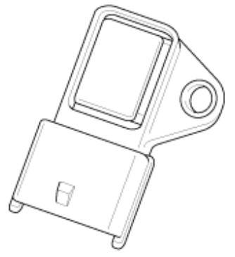 G12598491
