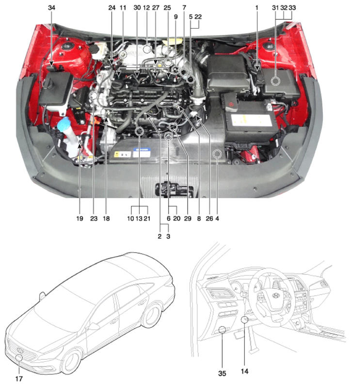 G12639012