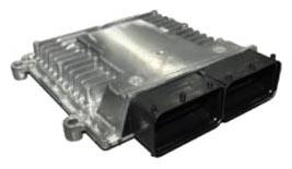 G12646912