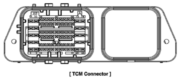 G12657904