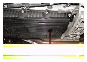 G12658082
