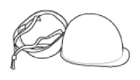 G12695813