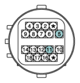 G12793482