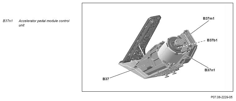 G12816663
