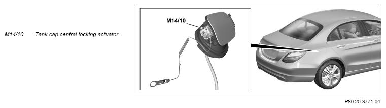 G12816737