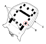 G12820289