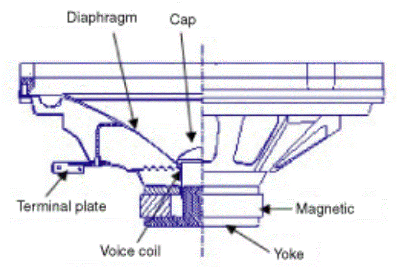 G12820979