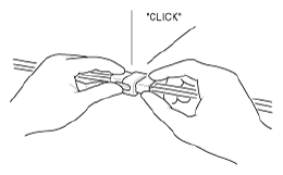 G12823013