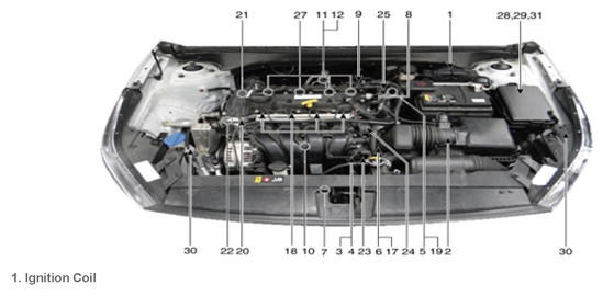 G12851282