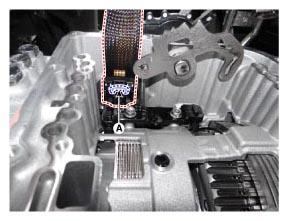 G12885833