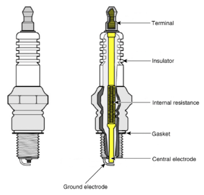 G12915256